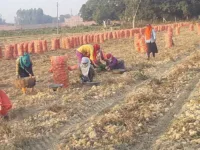 Marginalized Indian rural economy: Its challenges