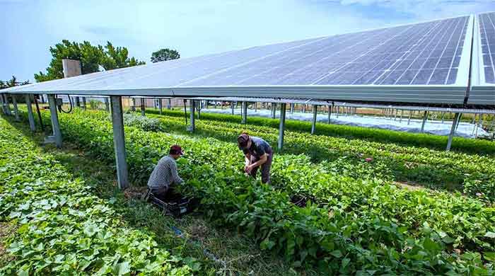 farm to solar