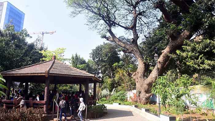 Sadhu Vaswani garden