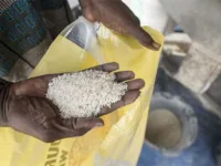 Demand for scrapping of iron fortified rice distribution in India’s public food schemes intensifies 