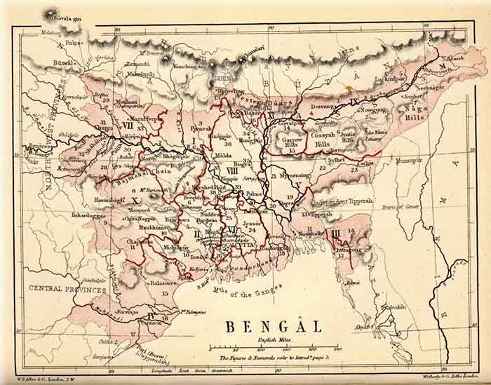 Bifurcation of Bengal