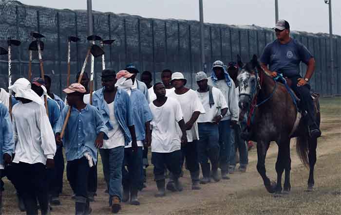 black prisoners