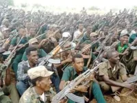 Another War Breaks Out in Northern Ethiopia, as the Threat of Disintegration Looms