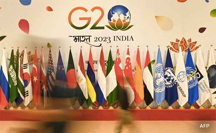 G20 Flags