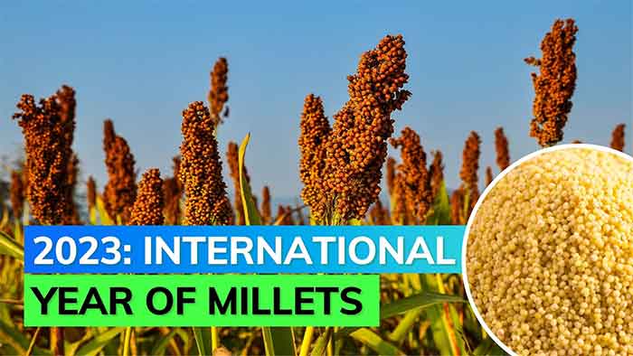 international year of millets 2023