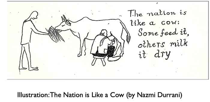 nation like a cow
