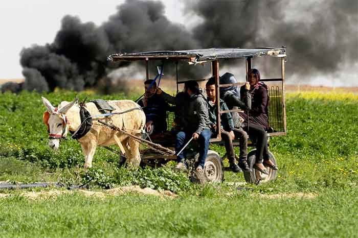 Gaza Farmers