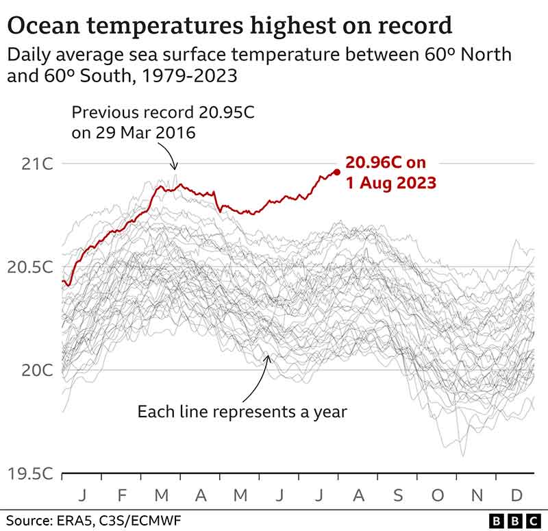 Ocean Temperature