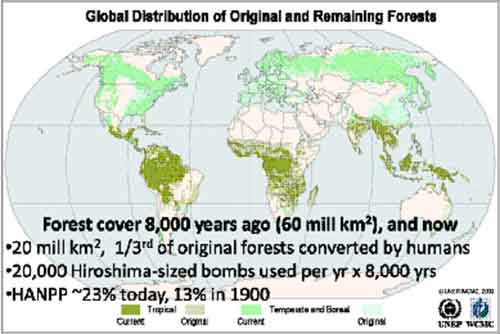 Remaining Forest Cover
