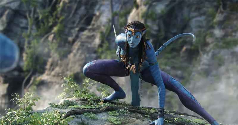 Avatar Animation