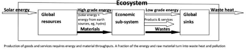 Ecosystem