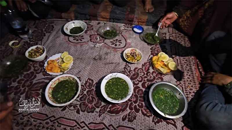 Gaza Hunger Grass