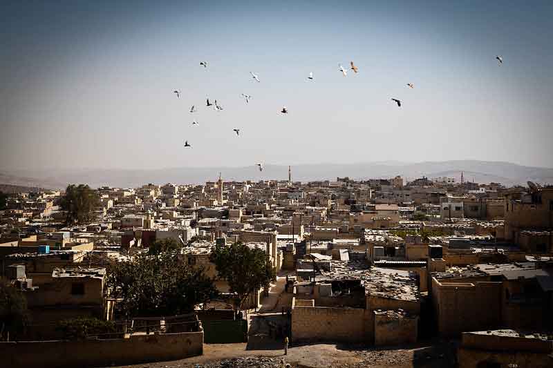 Birds Over Jerash