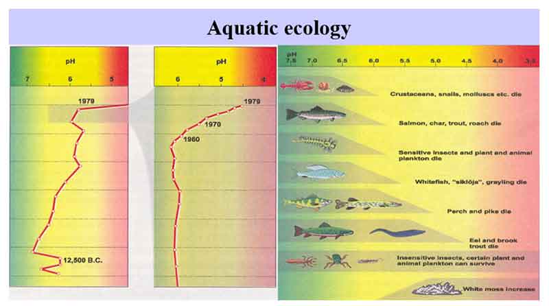 Aquatic ecology